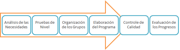 Proceso Formativo Clases de Portugués